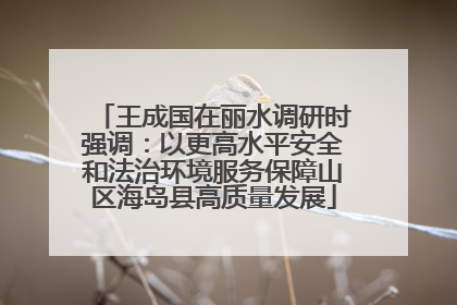 王成国在丽水调研时强调：以更高水平安全和法治环境服务保障山区海岛县高质量发展