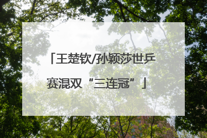 王楚钦/孙颖莎世乒赛混双“三连冠”