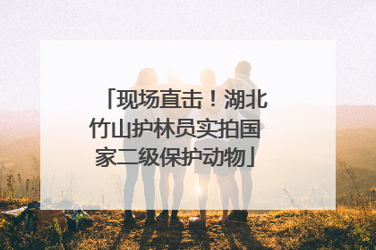 现场直击！湖北竹山护林员实拍国家二级保护动物