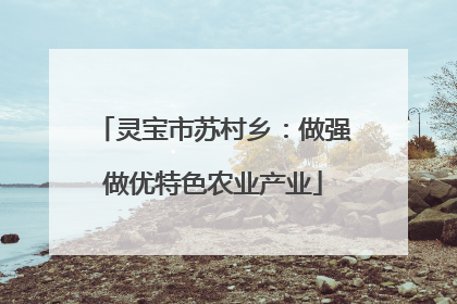 灵宝市苏村乡：做强做优特色农业产业