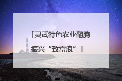 灵武特色农业翻腾振兴“致富浪”