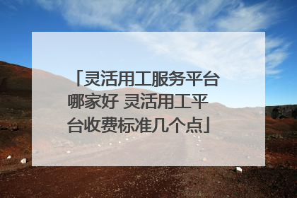 灵活用工服务平台哪家好 灵活用工平台收费标准几个点