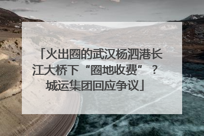 火出圈的武汉杨泗港长江大桥下“圈地收费”？城运集团回应争议
