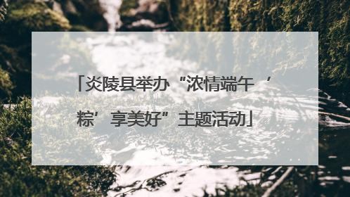 炎陵县举办“浓情端午‘粽’享美好”主题活动