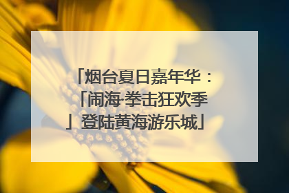 烟台夏日嘉年华：「闹海·拳击狂欢季」登陆黄海游乐城