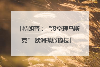 特朗普：“没空理马斯克” 欧洲抛橄榄枝