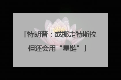 特朗普：或挪走特斯拉 但还会用“星链”