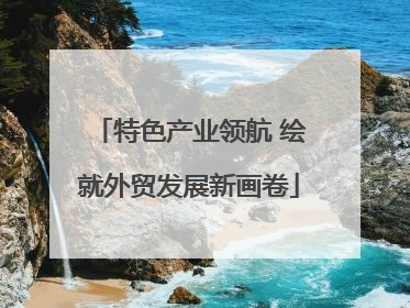 特色产业领航 绘就外贸发展新画卷