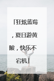 狂炫蓝莓，夏日游黄陂，快乐不宕机