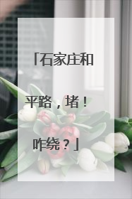 石家庄和平路，堵！咋绕？
