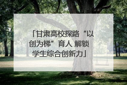 甘肃高校探路“以创为梯”育人 解锁学生综合创新力