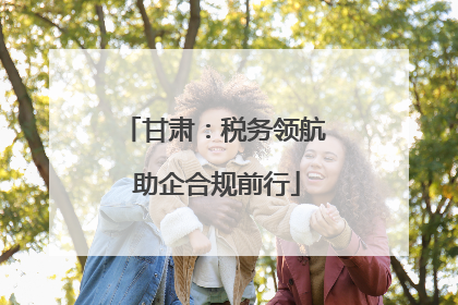 甘肃：税务领航 助企合规前行