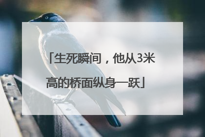 生死瞬间，他从3米高的桥面纵身一跃