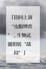 田间上演“虫粮博弈”，生物武器扭转“战局”