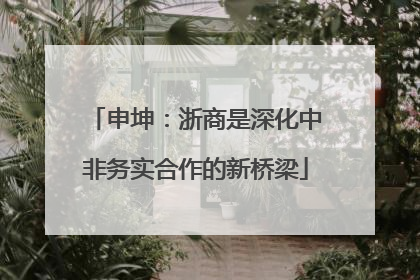 申坤：浙商是深化中非务实合作的新桥梁