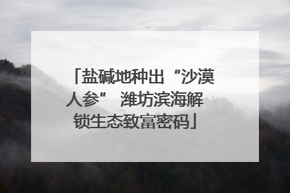 盐碱地种出“沙漠人参” 潍坊滨海解锁生态致富密码