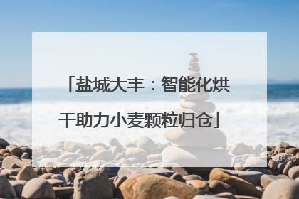 盐城大丰：智能化烘干助力小麦颗粒归仓