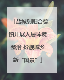 盐城射阳合德镇开展人居环境整治 扮靓城乡新“图景”