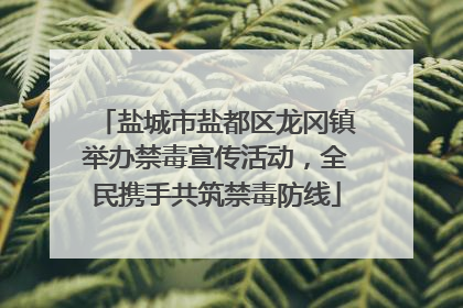 盐城市盐都区龙冈镇举办禁毒宣传活动，全民携手共筑禁毒防线
