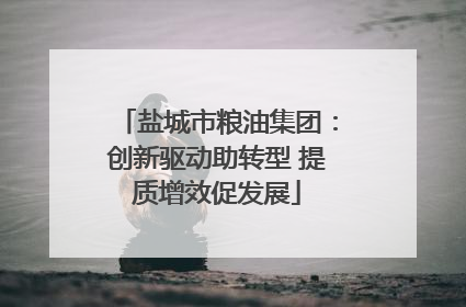 盐城市粮油集团：创新驱动助转型 提质增效促发展