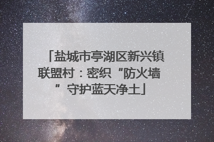 盐城市亭湖区新兴镇联盟村：密织“防火墙”守护蓝天净土