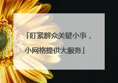 盯紧群众关键小事，小网格提供大服务
