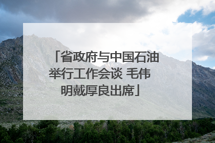 省政府与中国石油举行工作会谈 毛伟明戴厚良出席