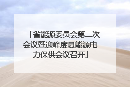 省能源委员会第二次会议暨迎峰度夏能源电力保供会议召开