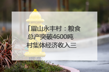 眉山永丰村：粮食总产突破4600吨 村集体经济收入三年倍增｜牵挂的村
