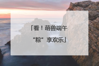 看！萌兽端午“粽”享欢乐