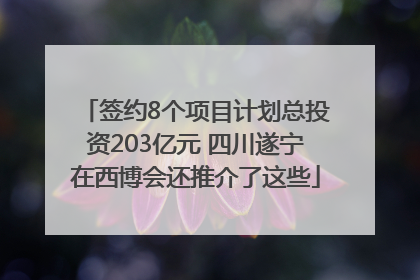 签约8个项目计划总投资203亿元 四川遂宁在西博会还推介了这些