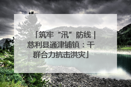 筑牢“汛”防线｜慈利县通津铺镇：干群合力抗击洪灾