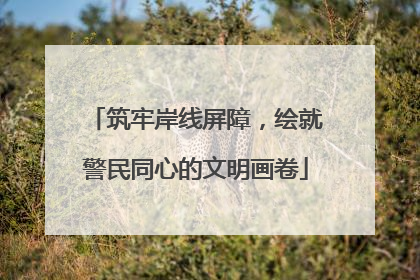 筑牢岸线屏障，绘就警民同心的文明画卷