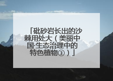 砒砂岩长出的沙棘用处大（美丽中国·生态治理中的特色植物③）