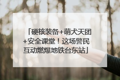 硬核装备+萌犬天团+安全课堂！这场警民互动燃爆地铁台东站