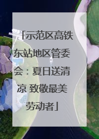示范区高铁东站地区管委会：夏日送清凉 致敬最美劳动者