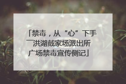 禁毒，从“心”下手――洪湖戴家场派出所广场禁毒宣传侧记
