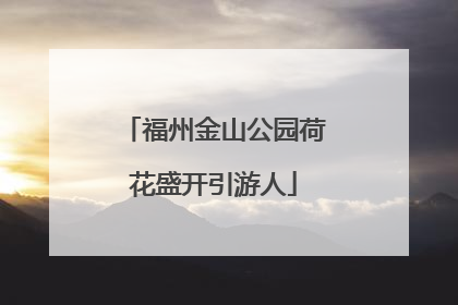 福州金山公园荷花盛开引游人