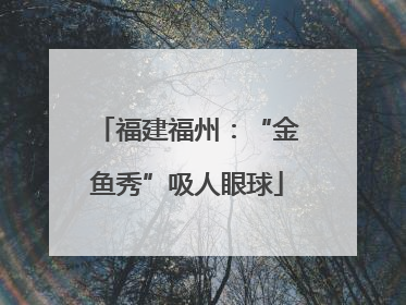 福建福州：“金鱼秀”吸人眼球