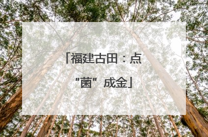 福建古田：点“菌”成金