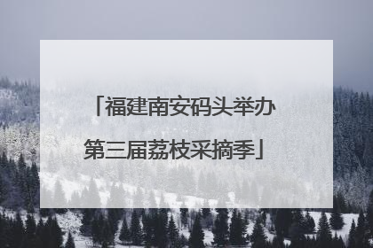 福建南安码头举办第三届荔枝采摘季