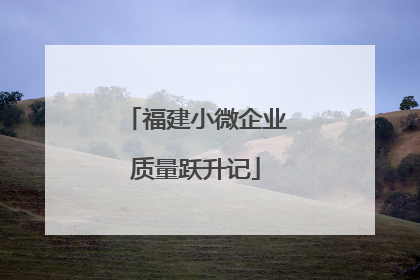 福建小微企业质量跃升记