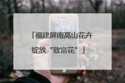 福建屏南高山花卉绽放“致富花”