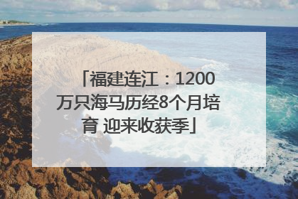 福建连江：1200万只海马历经8个月培育 迎来收获季