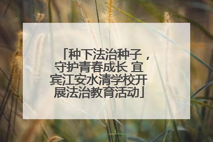 种下法治种子，守护青春成长 宜宾江安水清学校开展法治教育活动