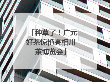 种草了！广元好茶惊艳亮相川茶博览会