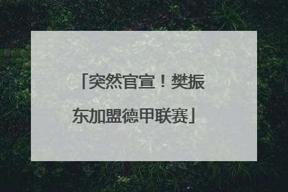 突然官宣！樊振东加盟德甲联赛