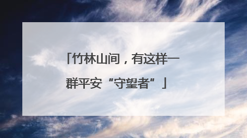 竹林山间，有这样一群平安“守望者”