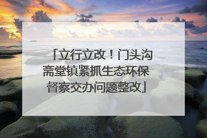 立行立改！门头沟斋堂镇紧抓生态环保督察交办问题整改