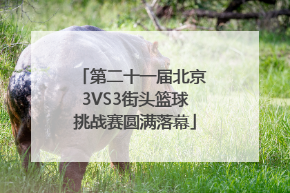 第二十一届北京3VS3街头篮球挑战赛圆满落幕